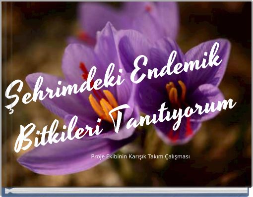 Proje Ekibinin Karışık Takım Çalışması