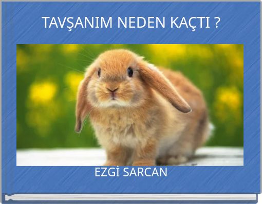 Book Cover for: TAVŞANIM NEDEN KAÇTI ?