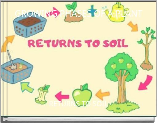 GROWING PHASES OF A PLANT