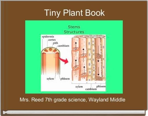 Tiny Plant Book