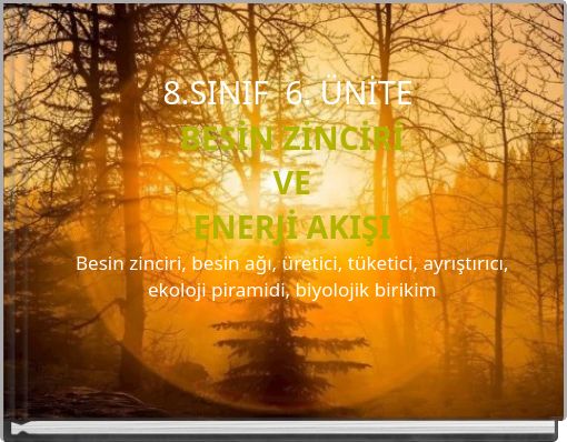 8.SINIF 6. ÜNİTE BESİN ZİNCİRİ VE ENERJİ AKIŞIBesin zinciri, besin ağı, üretici, tüketici, ayrıştırıcı, eko
