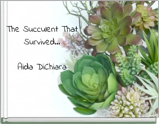 The Succulent That Survived... Aida DiChiara