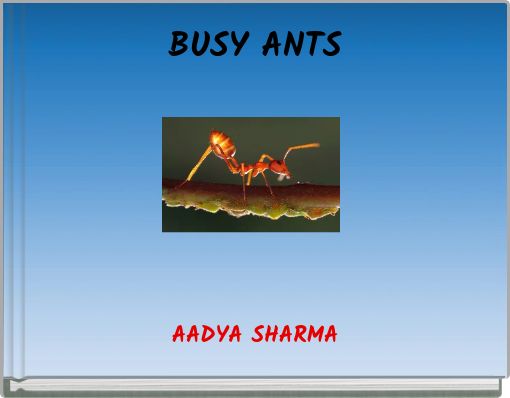 BUSY ANTS