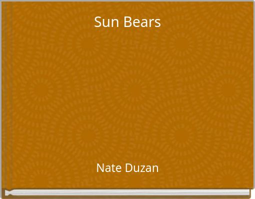 Sun Bears