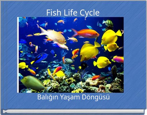 Fish Life Cycle