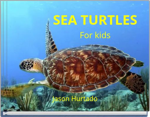 SEA TURTLES For kids