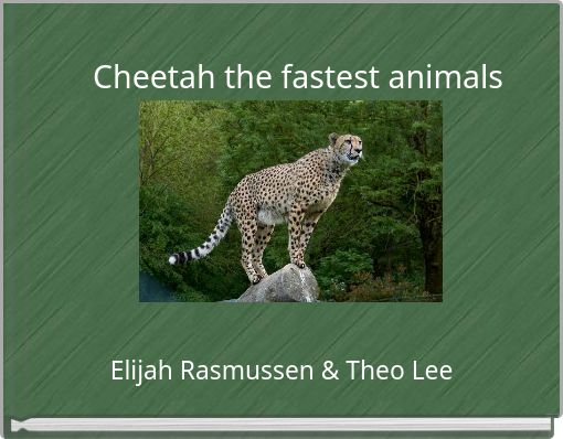 Cheetah the fastest animals