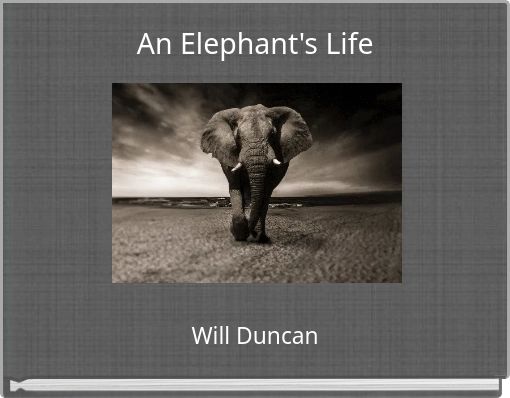An Elephant's Life