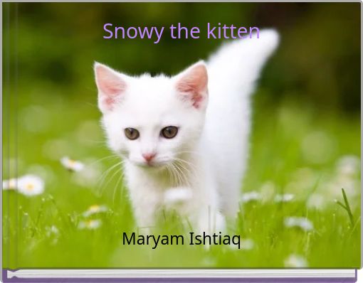 Snowy the kitten