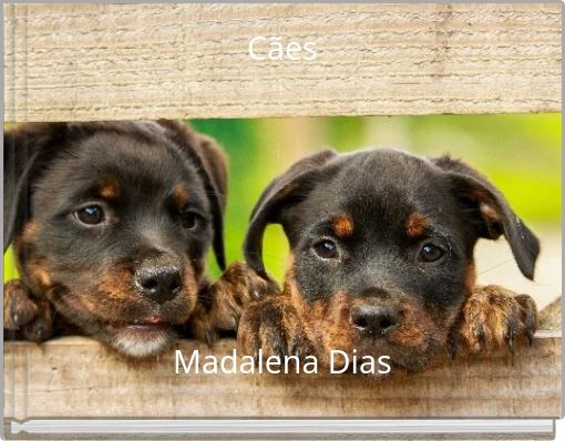 Cães Madalena Dias