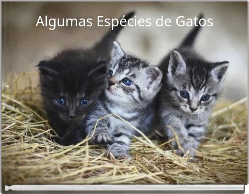 Algumas Espécies de Gatos
