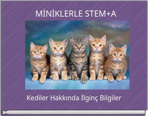 MİNİKLERLE STEM+A