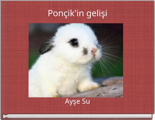 Pon&ccedil;ik'in gelişi