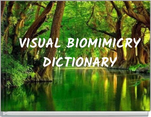 Front cover of 'VISUAL BIOMIMICRY DICTIONARY' 
