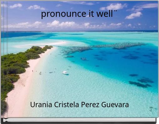 Front cover of 'pronounce it well¨' 