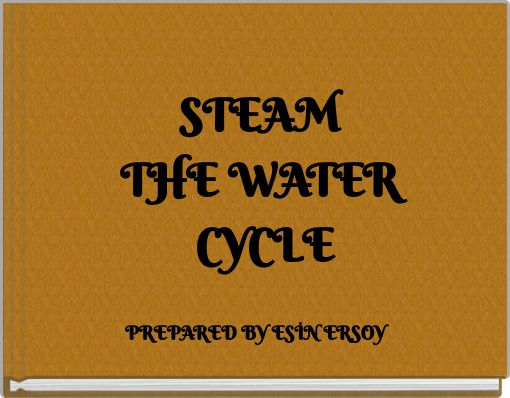 STEAM THE WATER CYCLE