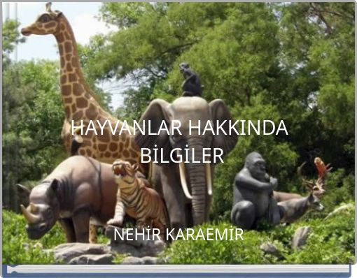 HAYVANLAR HAKKINDA BİLGİLER