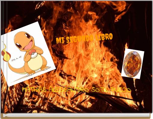 MI SEGUNDO LIBRO