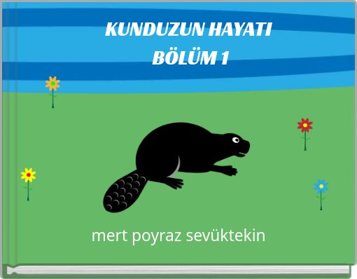 Front cover of 'KUNDUZUN HAYATI BÖLÜM 1' 