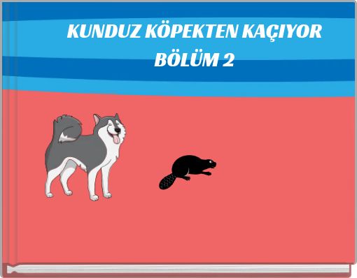 Front cover of 'KUNDUZ KÖPEKTEN KAÇIYOR BÖLÜM 2' 