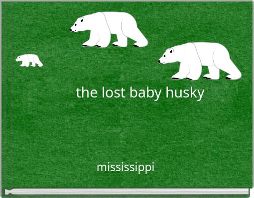 Book Cover for: the lost baby husky
