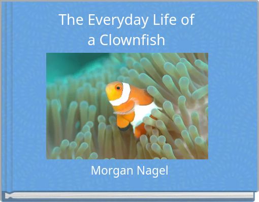 The Everyday Life of a Clownfish