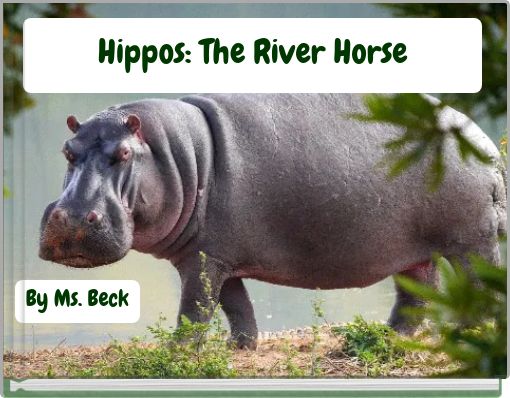 Hippos: The River Horse