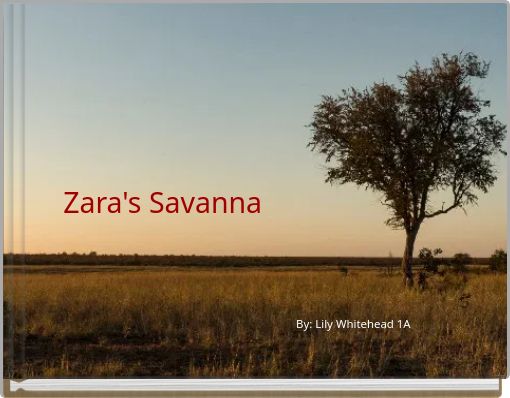 Zara's Savanna