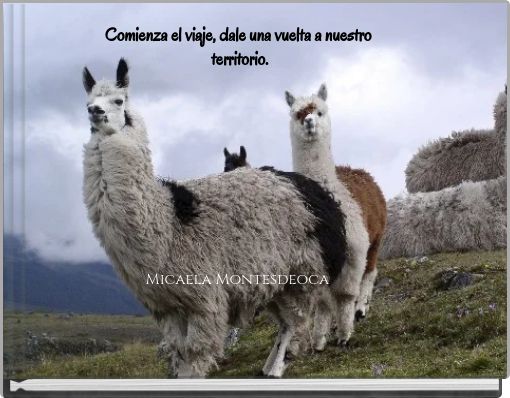 Comienza el viaje, dale una vuelta a nuestro territorio. Micaela Montesdeoca