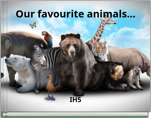 Our favourite animals...