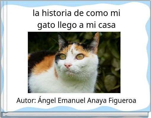 Front cover of 'la historia de como mi gato llego a mi casa' 