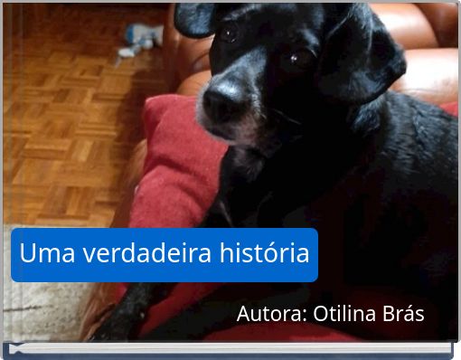 Uma verdadeira história