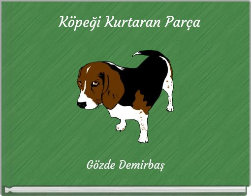 Front cover of 'Köpeği Kurtaran Parça' 
