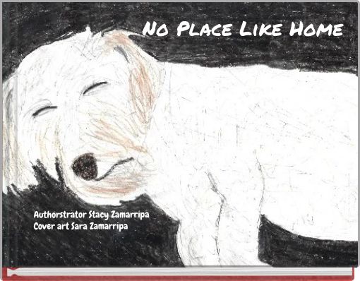 Front cover of 'No Place Like Home' 