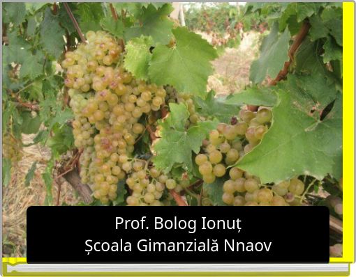 ABC' of _____________