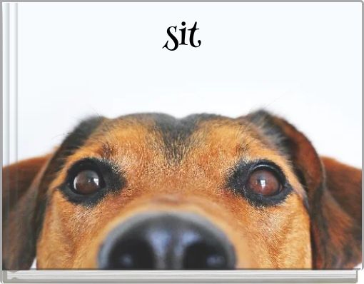 Front cover of 'sit' 
