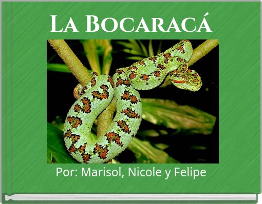 La Bocaracá