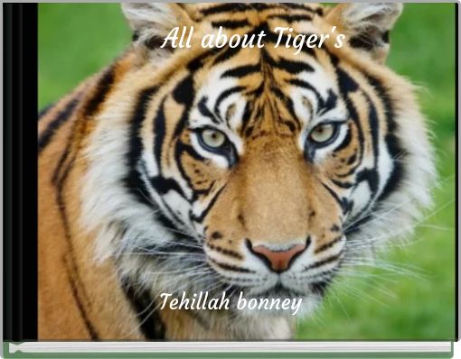 All about Tiger's