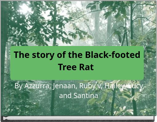 The story of the Black-footed Tree Rat