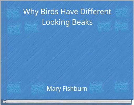 Why Birds Have Different Looking Beaks