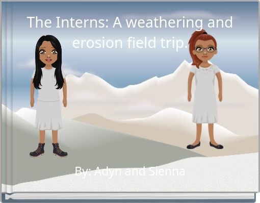 The Interns: A weathering and erosion field trip.