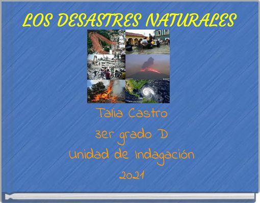 LOS DESASTRES NATURALES