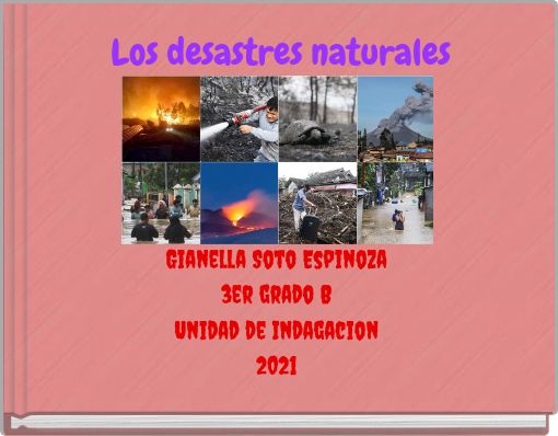 Book Cover for: Los desastres naturales
