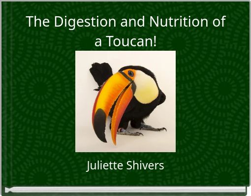The Digestion and Nutrition of a Toucan!