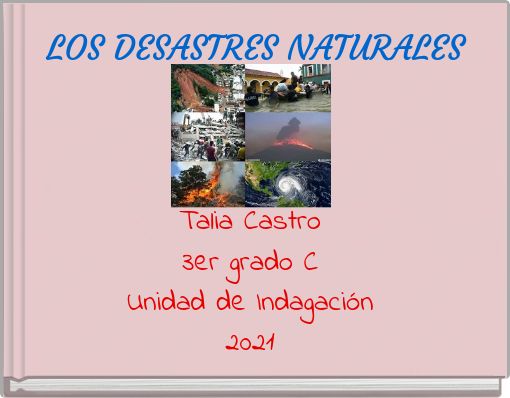 Book Cover for: LOS DESASTRES NATURALES