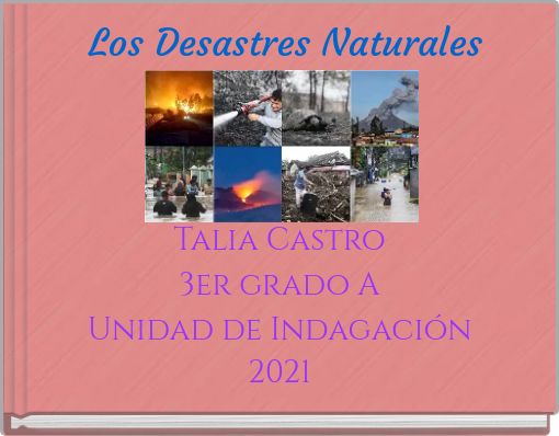 Book Cover for: Los Desastres Naturales