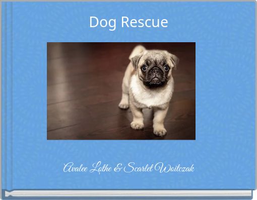Book Cover for: Dog Rescue