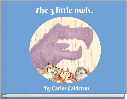 Front cover of 'The 3 little owls.' 