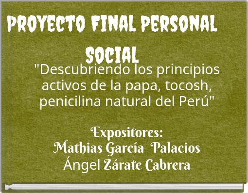 Proyecto Final Personal Social