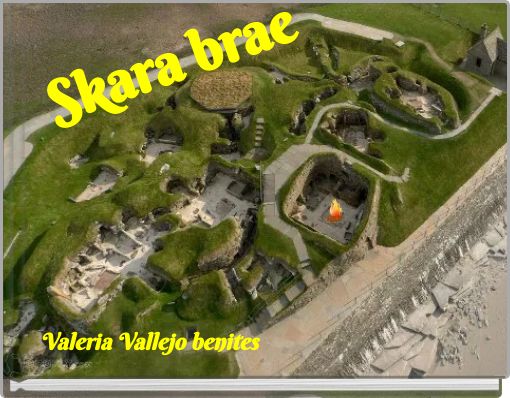 Front cover of 'Skara brae' 